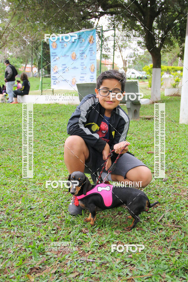 Buy your photos of the event2 PET RUNNER 2019 on Fotop
