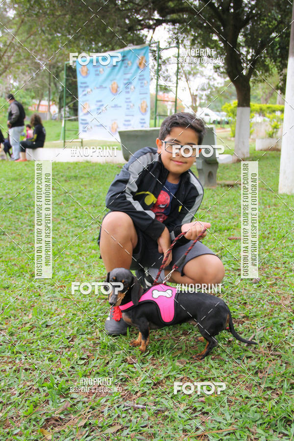 Buy your photos of the event2 PET RUNNER 2019 on Fotop