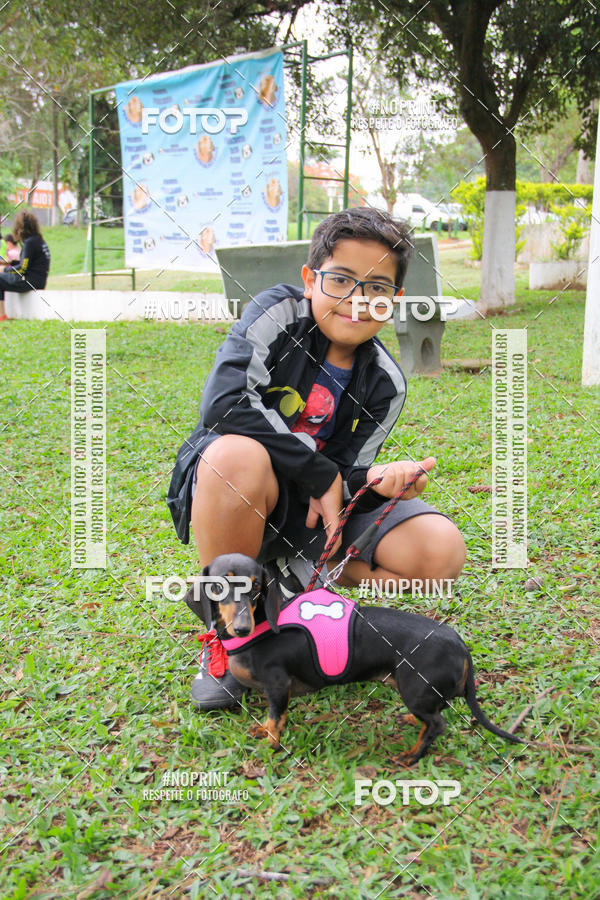 Buy your photos of the event2 PET RUNNER 2019 on Fotop