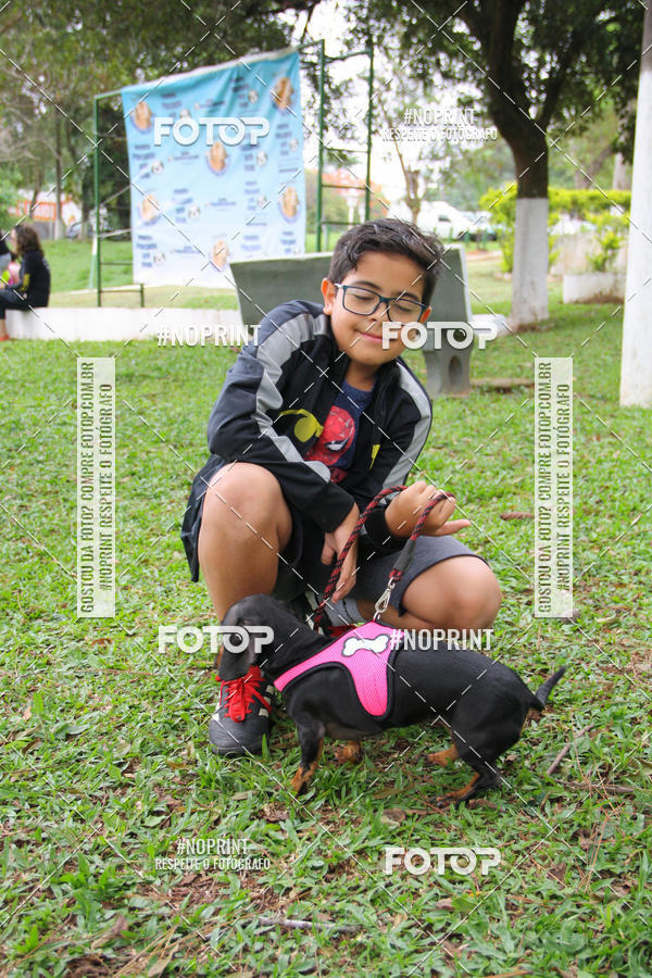 Buy your photos of the event2 PET RUNNER 2019 on Fotop