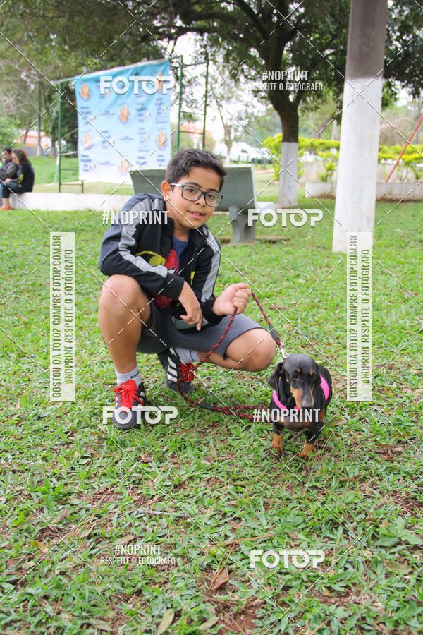 Buy your photos of the event2 PET RUNNER 2019 on Fotop