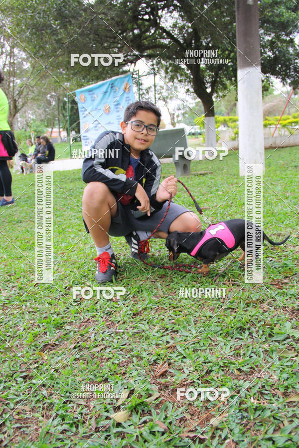 Buy your photos of the event2 PET RUNNER 2019 on Fotop