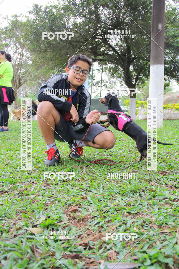 Buy your photos of the event2 PET RUNNER 2019 on Fotop