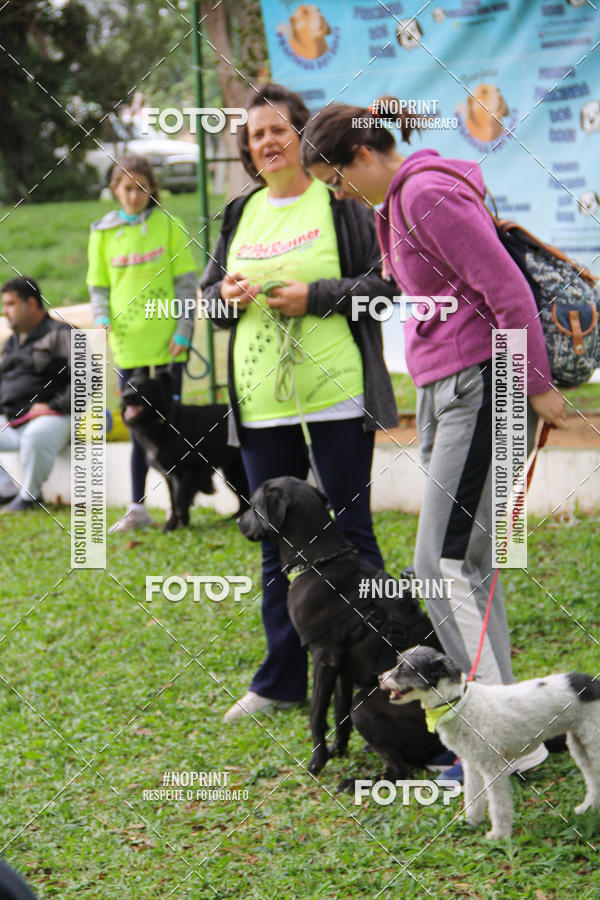 Buy your photos of the event2 PET RUNNER 2019 on Fotop