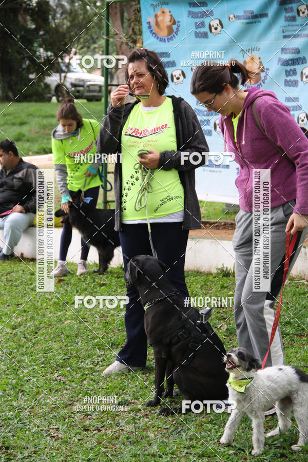Buy your photos of the event2 PET RUNNER 2019 on Fotop