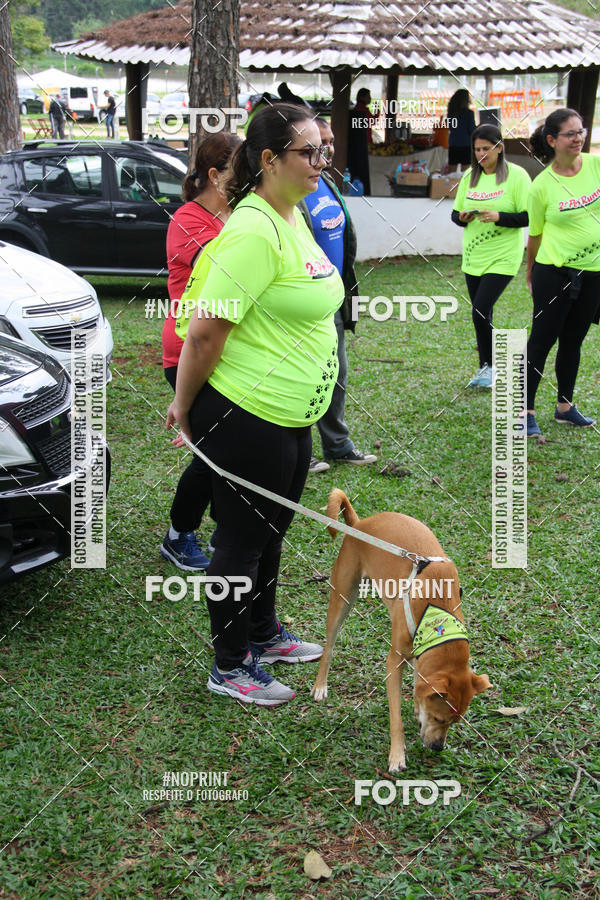 Buy your photos of the event2 PET RUNNER 2019 on Fotop