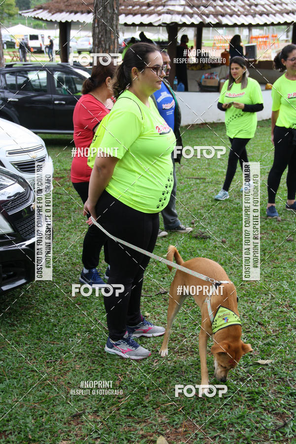 Buy your photos of the event2 PET RUNNER 2019 on Fotop
