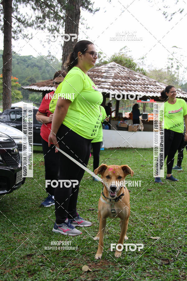 Buy your photos of the event2 PET RUNNER 2019 on Fotop