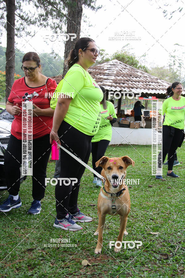 Buy your photos of the event2 PET RUNNER 2019 on Fotop