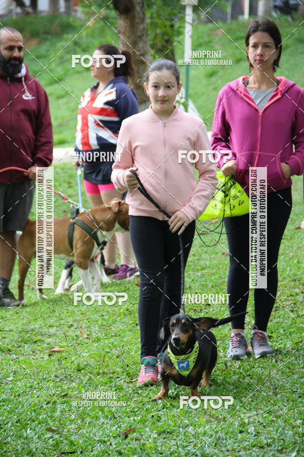 Buy your photos of the event2 PET RUNNER 2019 on Fotop
