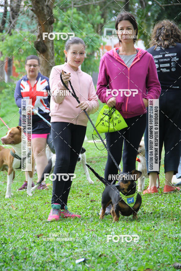 Buy your photos of the event2 PET RUNNER 2019 on Fotop
