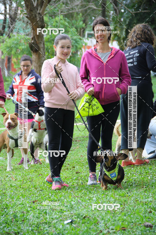 Buy your photos of the event2 PET RUNNER 2019 on Fotop