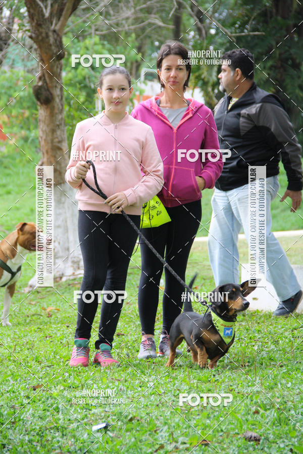 Buy your photos of the event2 PET RUNNER 2019 on Fotop