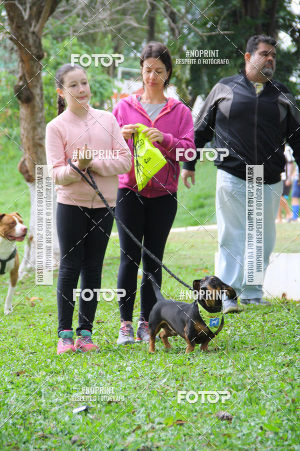 Buy your photos of the event2 PET RUNNER 2019 on Fotop