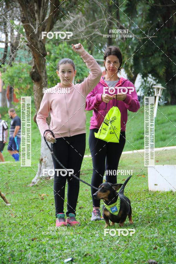 Buy your photos of the event2 PET RUNNER 2019 on Fotop