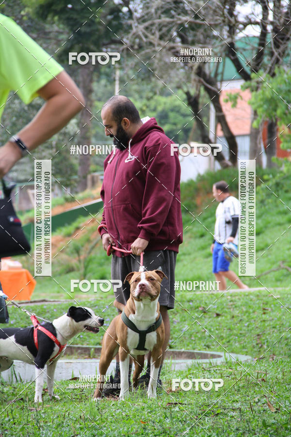 Buy your photos of the event2 PET RUNNER 2019 on Fotop