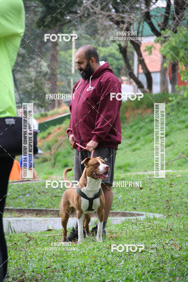 Buy your photos of the event2 PET RUNNER 2019 on Fotop