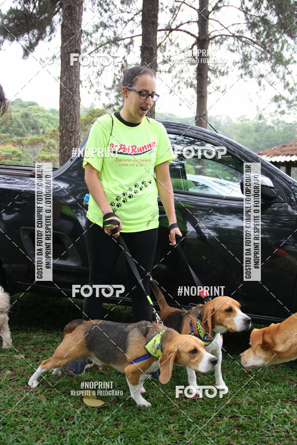 Buy your photos of the event2 PET RUNNER 2019 on Fotop