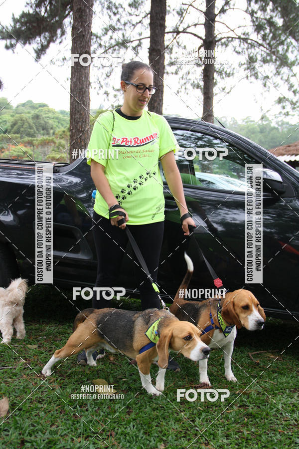 Buy your photos of the event2 PET RUNNER 2019 on Fotop