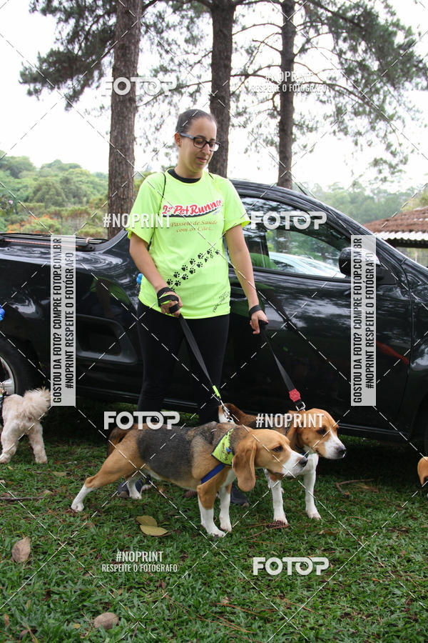Buy your photos of the event2 PET RUNNER 2019 on Fotop