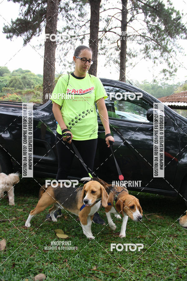 Buy your photos of the event2 PET RUNNER 2019 on Fotop