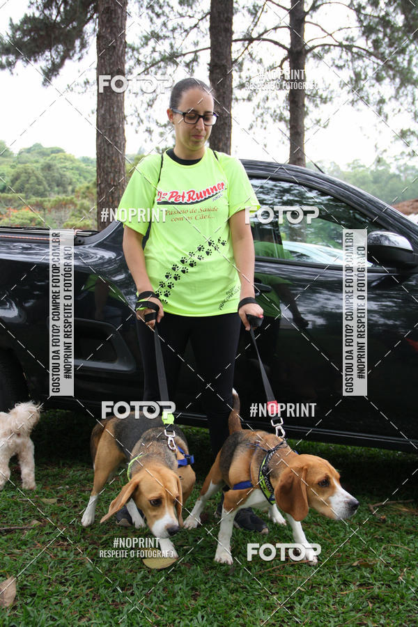 Buy your photos of the event2 PET RUNNER 2019 on Fotop