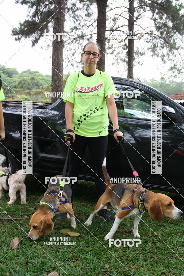 Buy your photos of the event2 PET RUNNER 2019 on Fotop