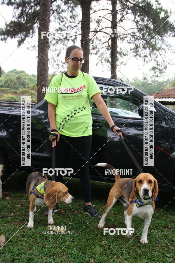 Buy your photos of the event2 PET RUNNER 2019 on Fotop
