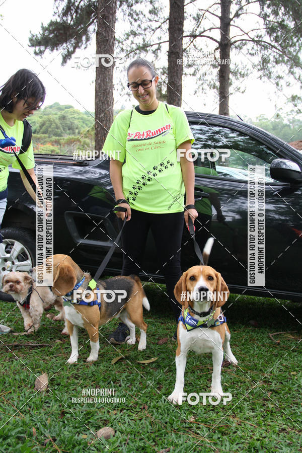 Buy your photos of the event2 PET RUNNER 2019 on Fotop