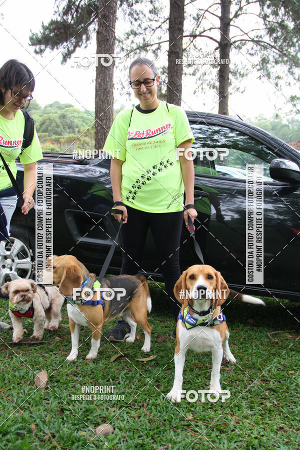 Buy your photos of the event2 PET RUNNER 2019 on Fotop