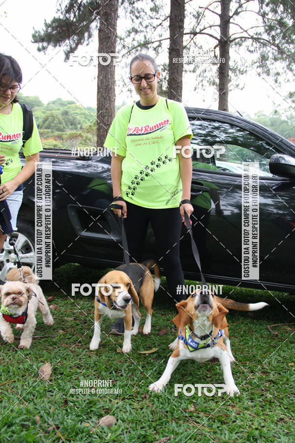 Buy your photos of the event2 PET RUNNER 2019 on Fotop