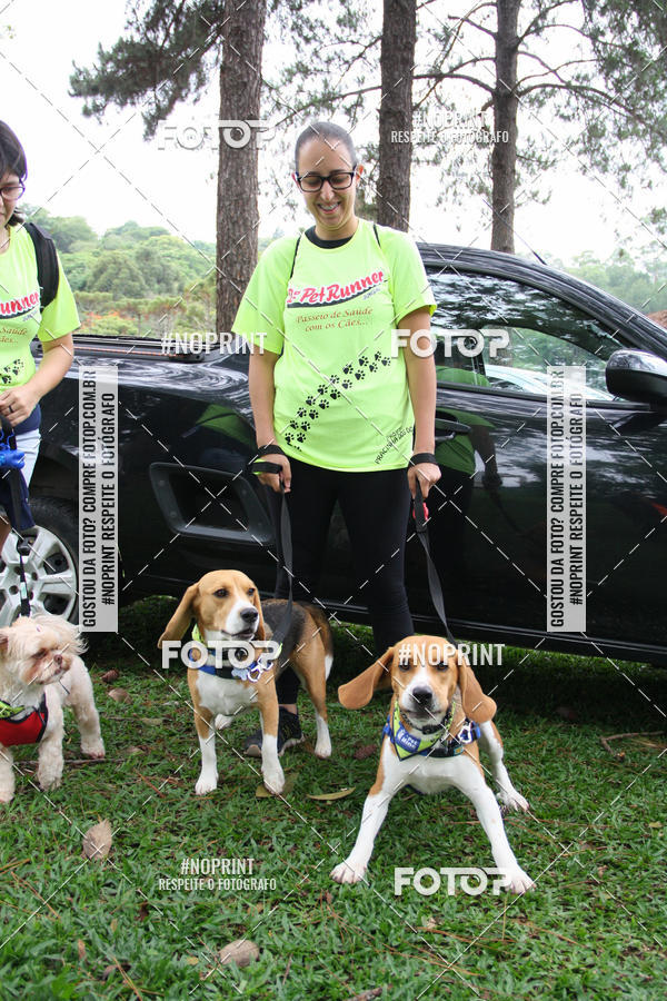 Buy your photos of the event2 PET RUNNER 2019 on Fotop