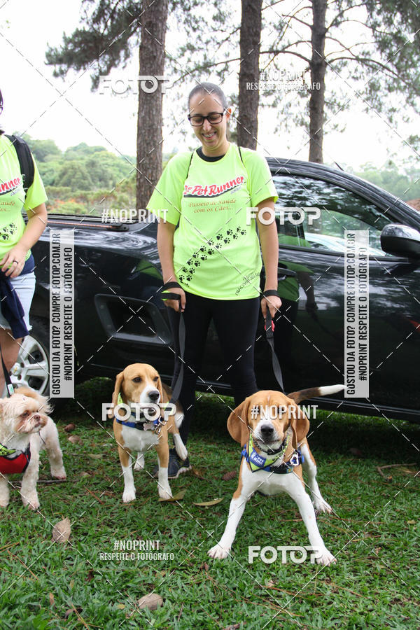 Buy your photos of the event2 PET RUNNER 2019 on Fotop