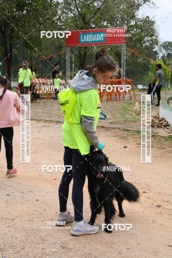Buy your photos of the event2 PET RUNNER 2019 on Fotop