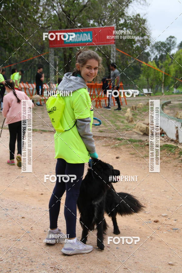 Buy your photos of the event2 PET RUNNER 2019 on Fotop