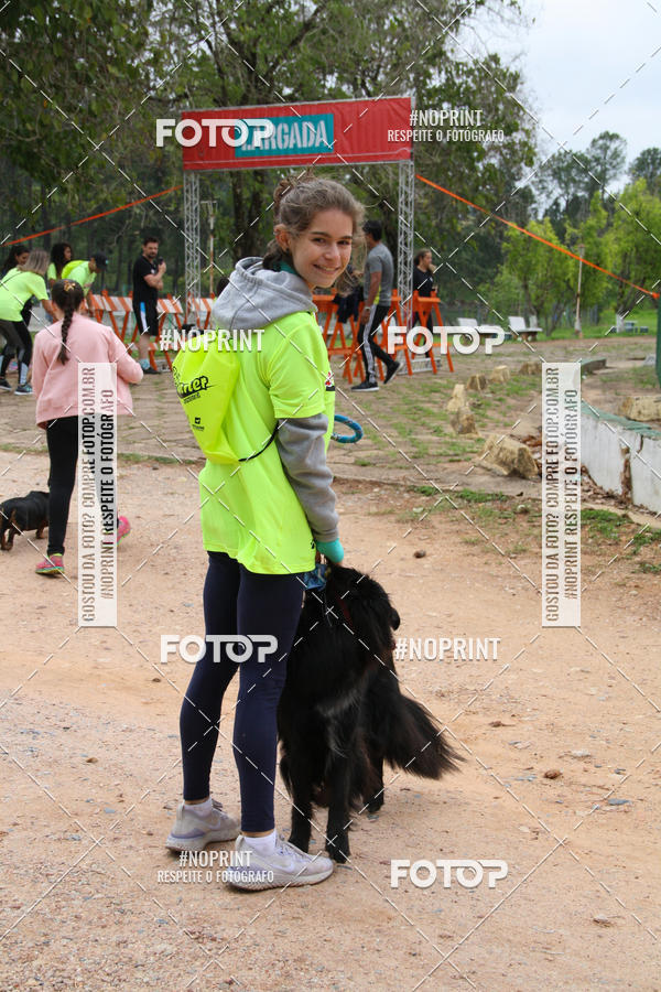 Buy your photos of the event2 PET RUNNER 2019 on Fotop