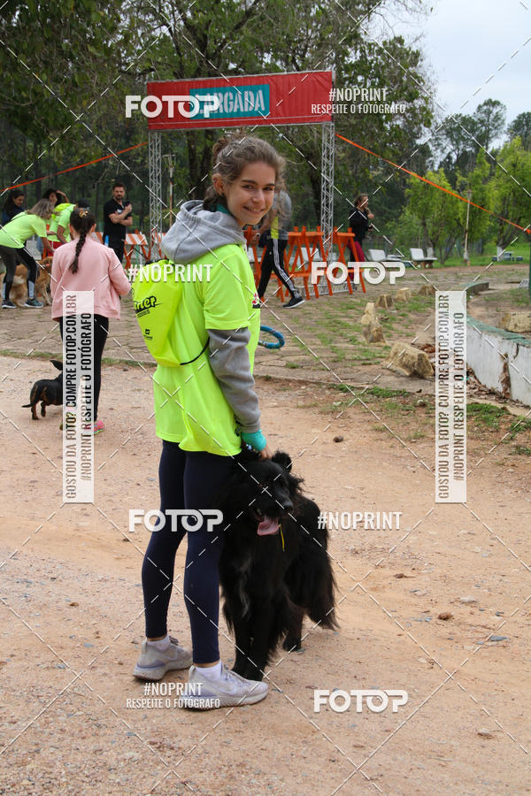Buy your photos of the event2 PET RUNNER 2019 on Fotop