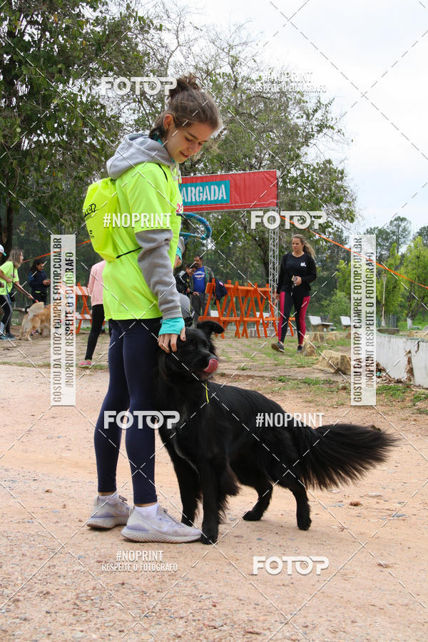 Buy your photos of the event2 PET RUNNER 2019 on Fotop