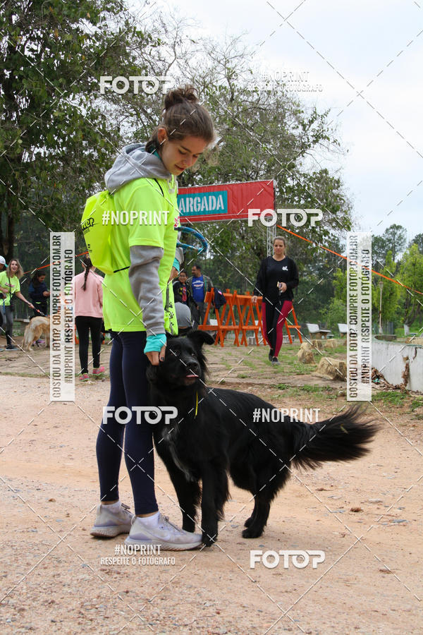 Buy your photos of the event2 PET RUNNER 2019 on Fotop