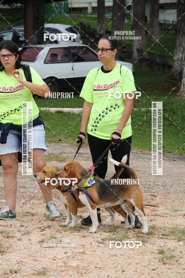 Buy your photos of the event2 PET RUNNER 2019 on Fotop