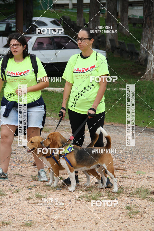 Buy your photos of the event2 PET RUNNER 2019 on Fotop