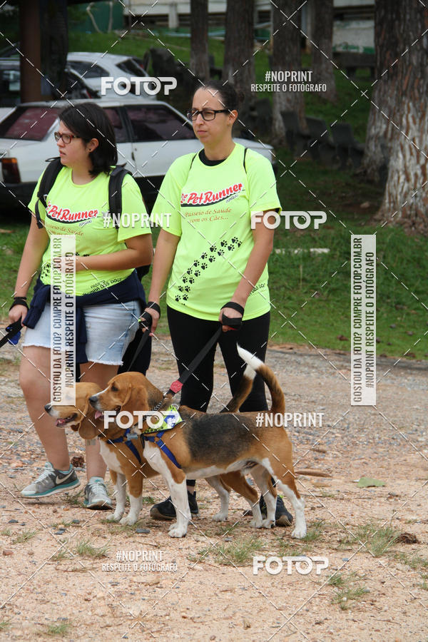 Buy your photos of the event2 PET RUNNER 2019 on Fotop