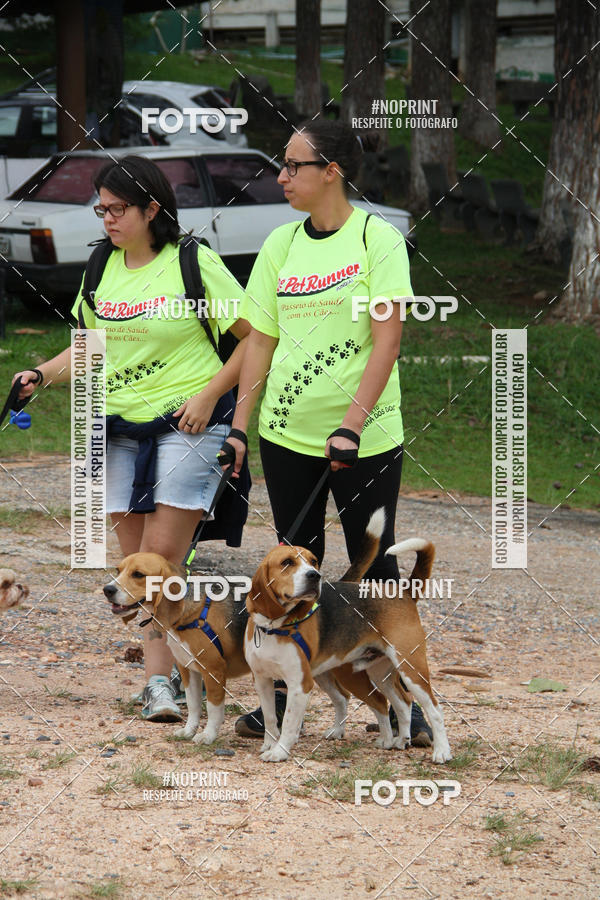 Buy your photos of the event2 PET RUNNER 2019 on Fotop