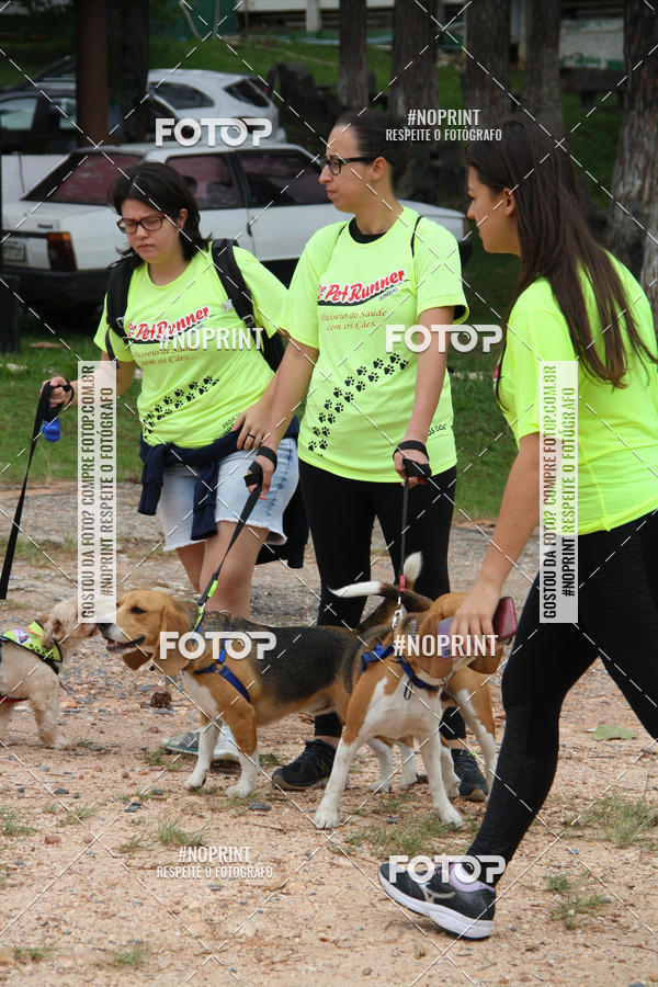 Buy your photos of the event2 PET RUNNER 2019 on Fotop