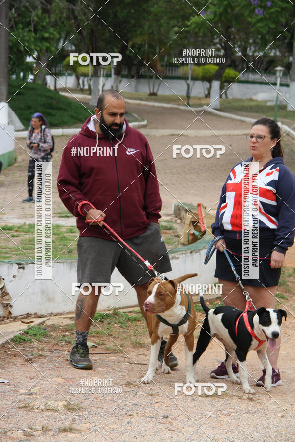 Buy your photos of the event2 PET RUNNER 2019 on Fotop