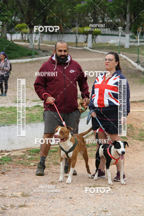 Buy your photos of the event2 PET RUNNER 2019 on Fotop