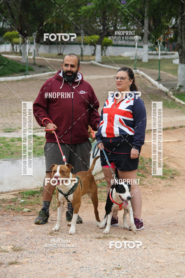 Buy your photos of the event2 PET RUNNER 2019 on Fotop