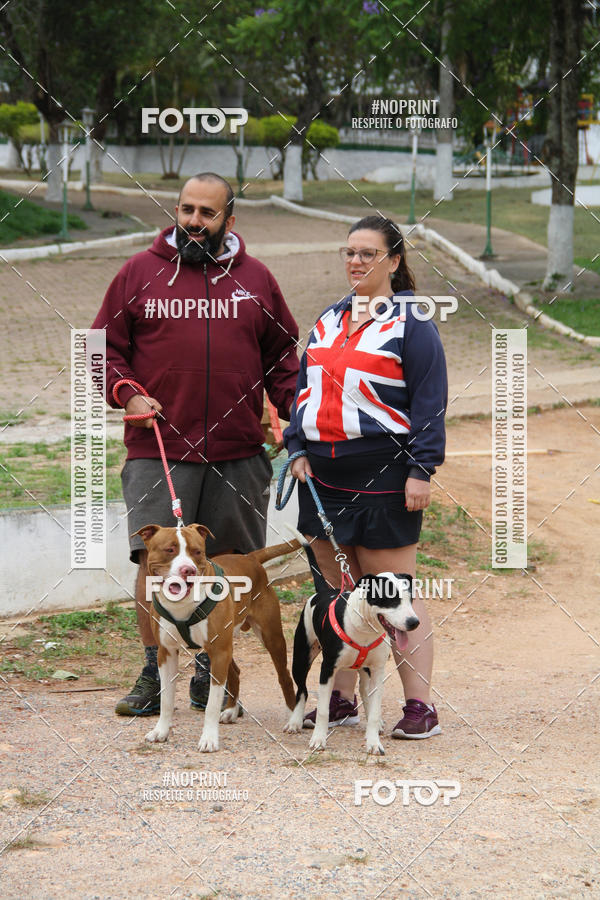 Buy your photos of the event2 PET RUNNER 2019 on Fotop