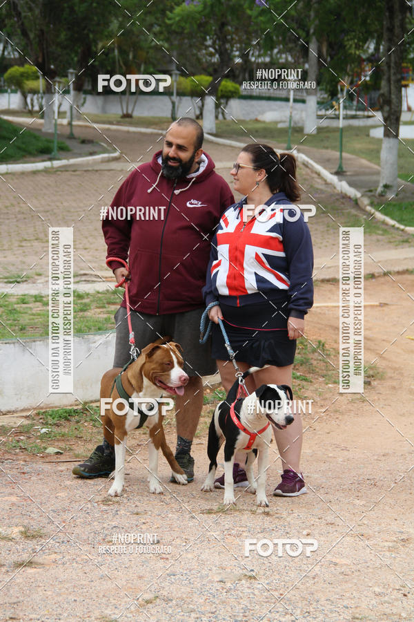 Buy your photos of the event2 PET RUNNER 2019 on Fotop