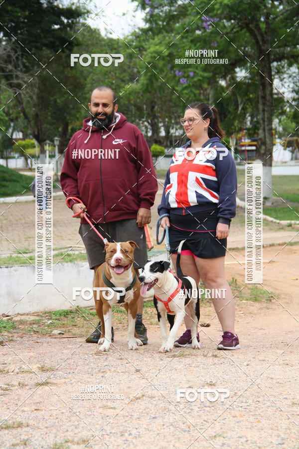 Buy your photos of the event2 PET RUNNER 2019 on Fotop